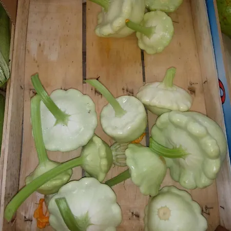 U Muinettu 팜스테이