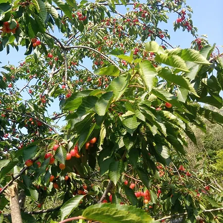 U Muinettu Специя