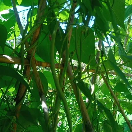 U Muinettu Фермерский дом Специя