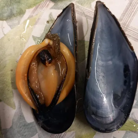 U Muinettu * 라스페치아