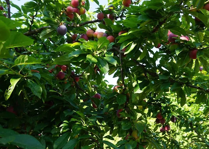 U Muinettu * La Spezia