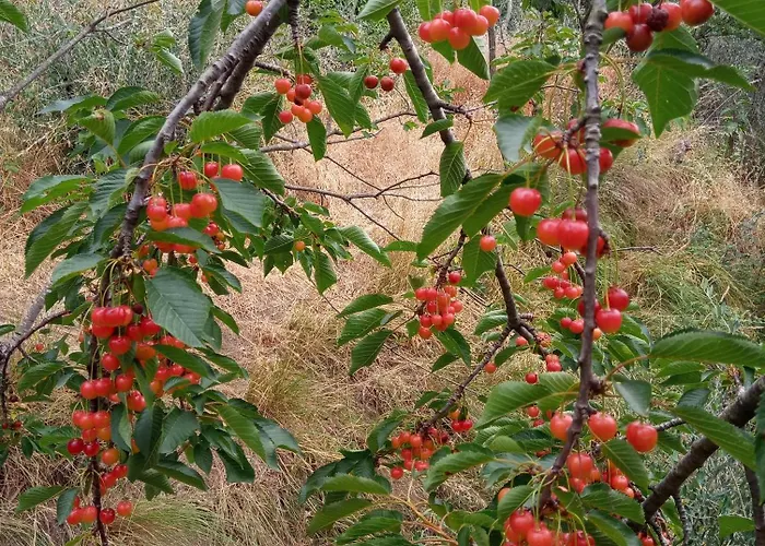 Farmház U Muinettu La Spezia