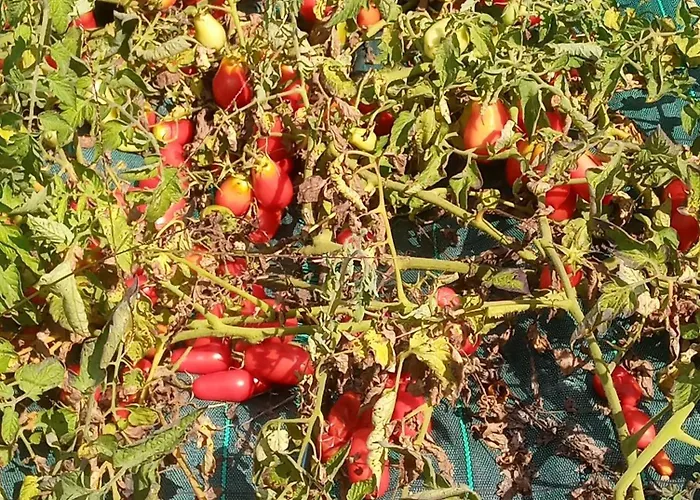 U Muinettu * La Spezia