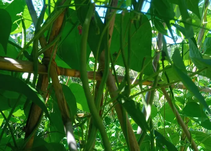 U Muinettu Farmház La Spezia