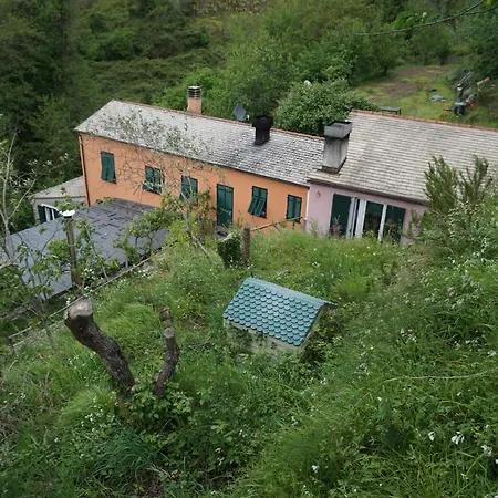 Alojamento de Turismo Rural U Muinettu