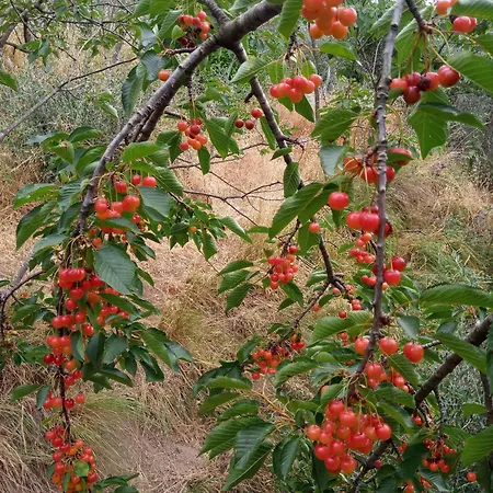 Alloggio per agriturismo U Muinettu La Spezia