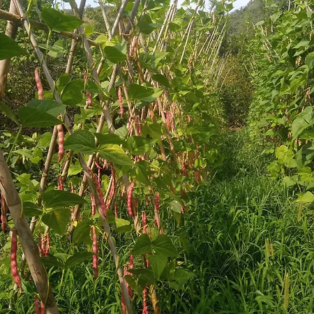U Muinettu La Spezia