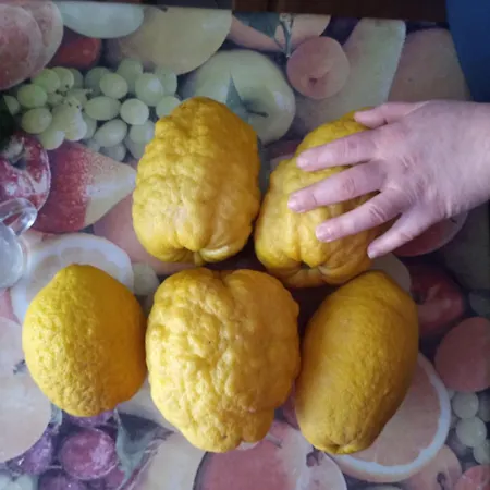 U Muinettu Alojamento de Turismo Rural