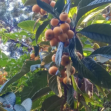 U Muinettu La Spezia