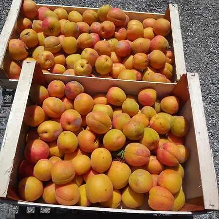 Alojamento de Turismo Rural U Muinettu La Spezia