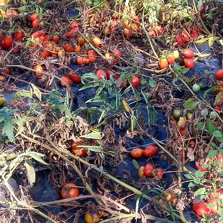 U Muinettu * La Spezia