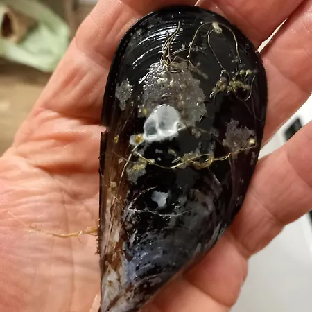 U Muinettu Alojamento de Turismo Rural La Spezia