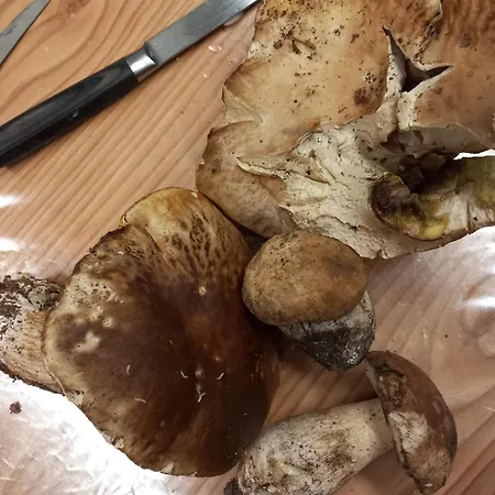 Alojamento de Turismo Rural U Muinettu La Spezia