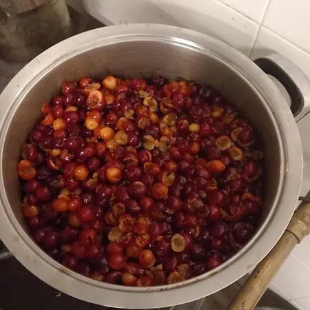 Alojamento de Turismo Rural U Muinettu La Spezia