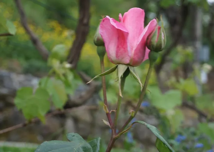 U Muinettu La Spezia