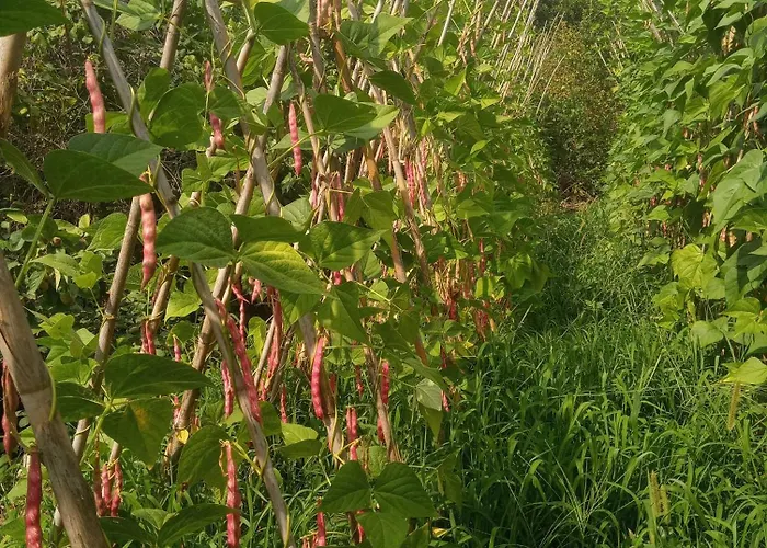 U Muinettu La Spezia