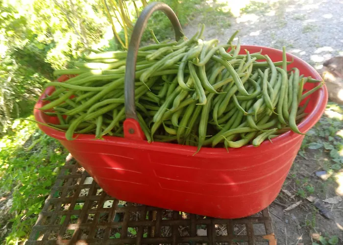 Çiftlik konaklama U Muinettu *