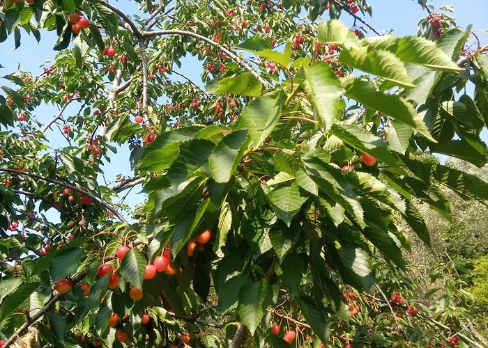 U Muinettu La Spezia