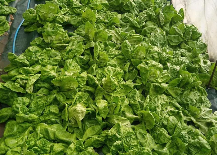 U Muinettu * La Spezia