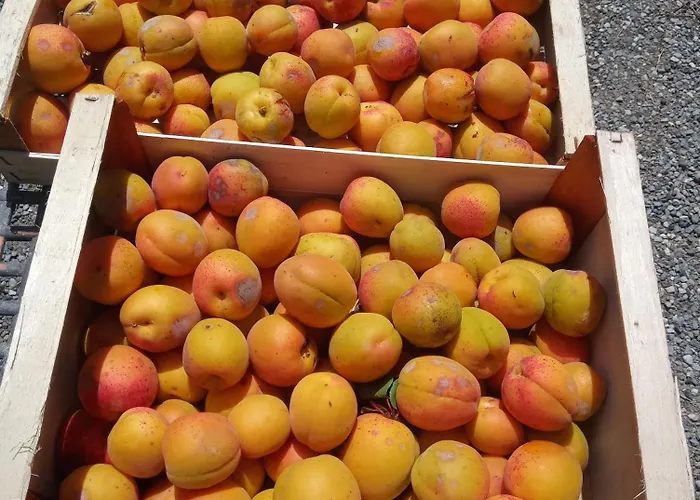 Çiftlik konaklama U Muinettu La Spezia